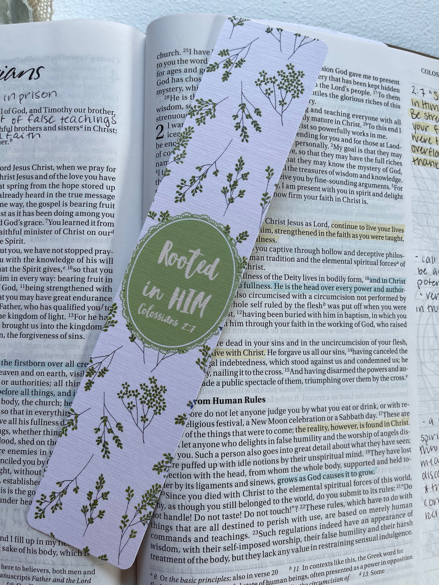 Rooted in Him Bookmark